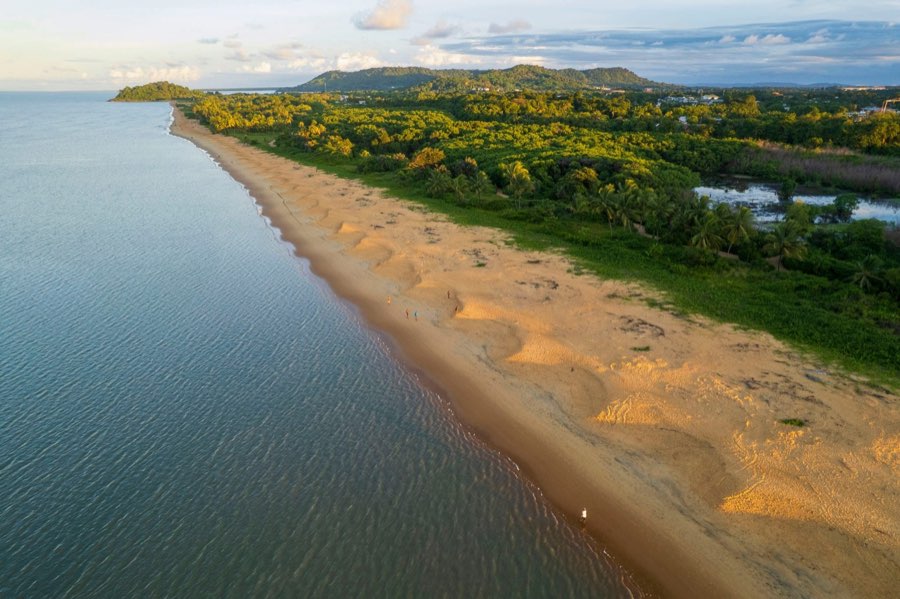 Plage de Montjoly bordée de cocotiers près de Cayenne